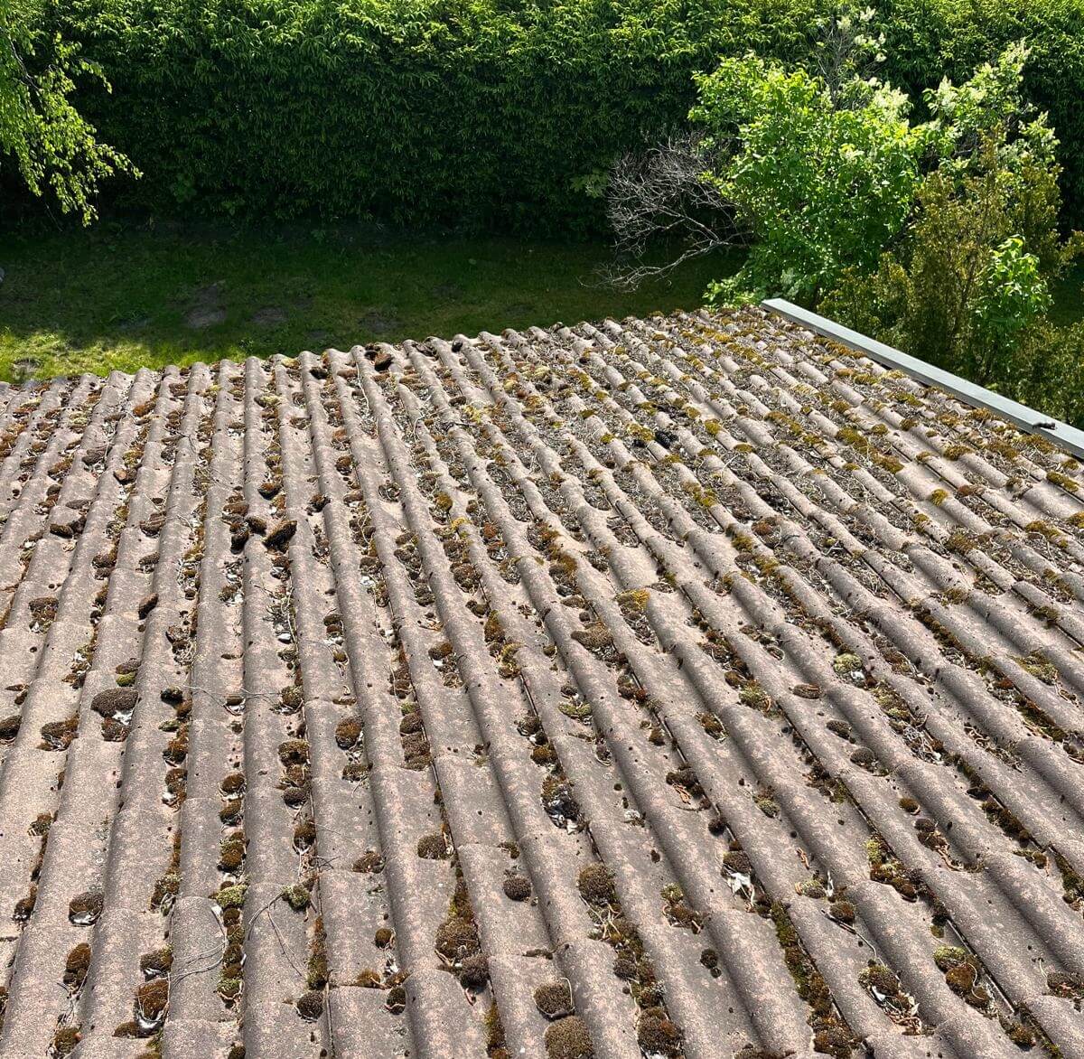 Tiilikaton puhdistus ja sammaleenpoisto