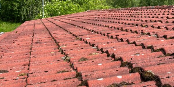 Tiilikaton sammaleenpoisto